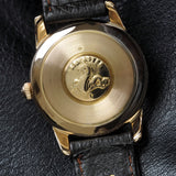 Omega Seamaster Automatic