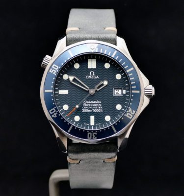 Seamaster Professional