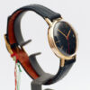 NOS Dauphine
